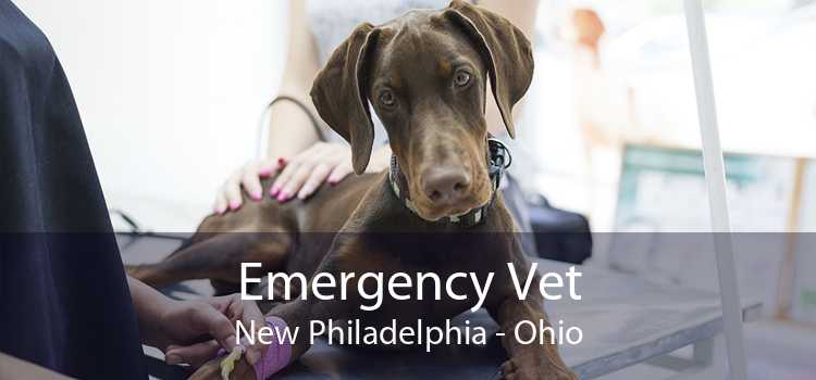 Emergency Vet New Philadelphia - Ohio