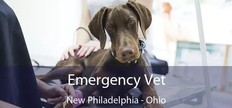 Emergency Vet New Philadelphia - Ohio