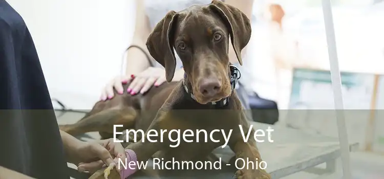 Emergency Vet New Richmond - Ohio