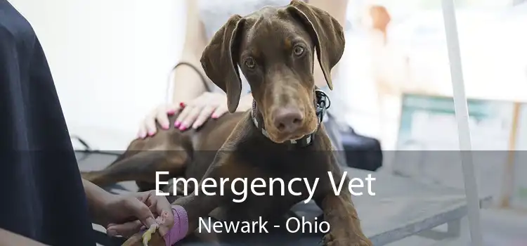 Emergency Vet Newark - Ohio