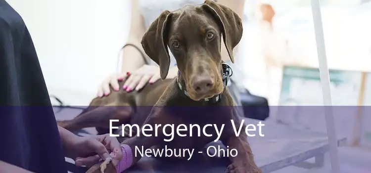 Emergency Vet Newbury - Ohio
