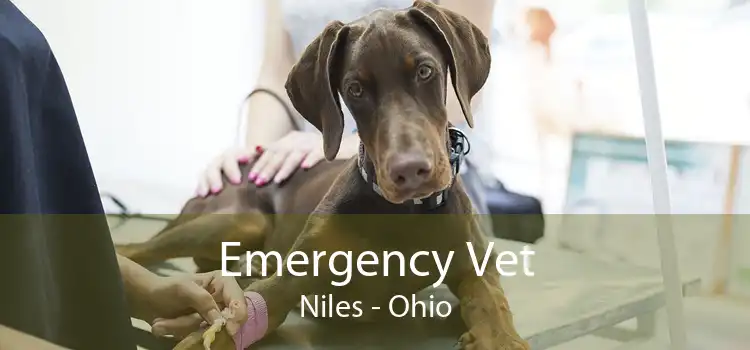 Emergency Vet Niles - Ohio