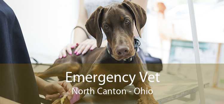 Emergency Vet North Canton - Ohio