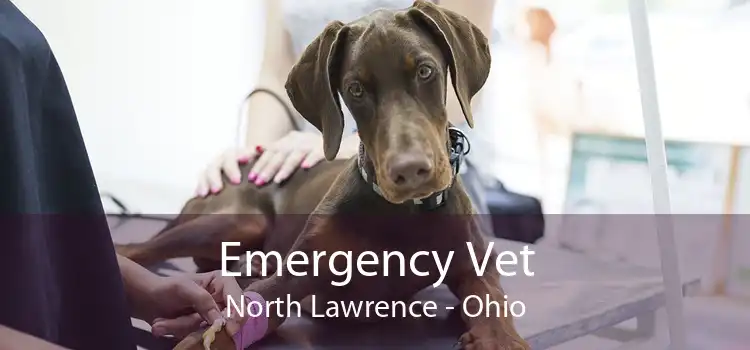Emergency Vet North Lawrence - Ohio
