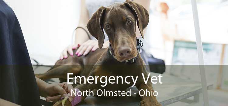 Emergency Vet North Olmsted - Ohio