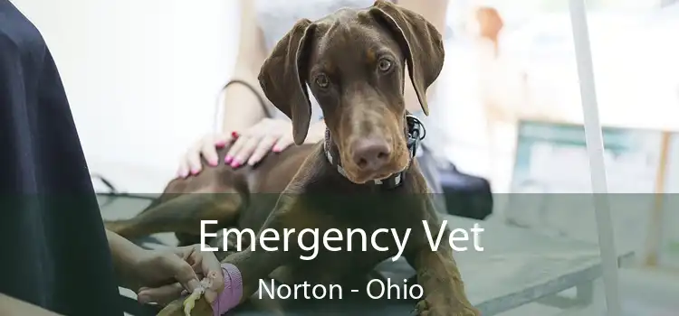 Emergency Vet Norton - Ohio