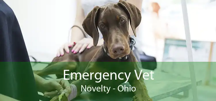 Emergency Vet Novelty - Ohio