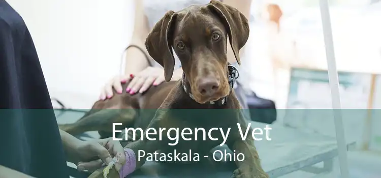 Emergency Vet Pataskala - Ohio