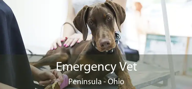 Emergency Vet Peninsula - Ohio