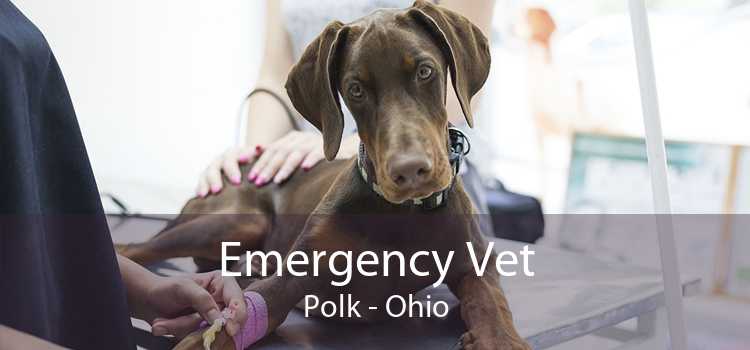 Emergency Vet Polk - Ohio