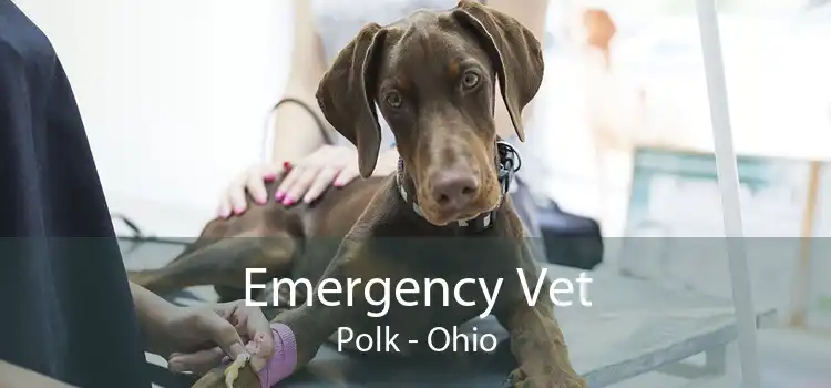 Emergency Vet Polk - Ohio