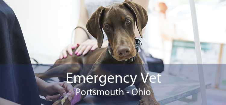 Emergency Vet Portsmouth - Ohio