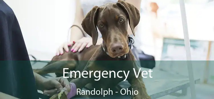 Emergency Vet Randolph - Ohio