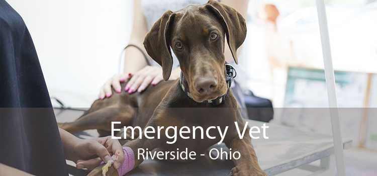 Emergency Vet Riverside - Ohio
