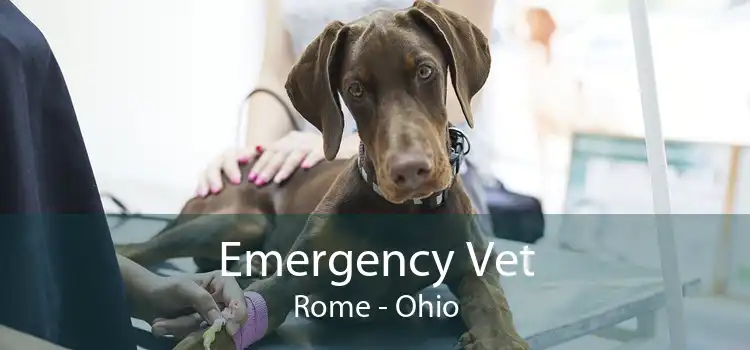 Emergency Vet Rome - Ohio