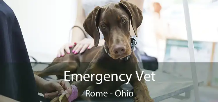 Emergency Vet Rome - Ohio