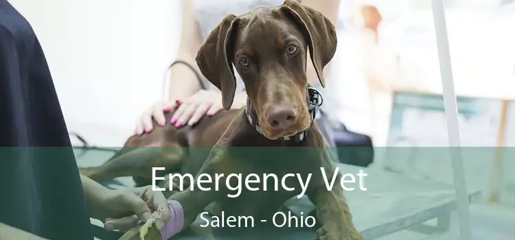 Emergency Vet Salem - Ohio
