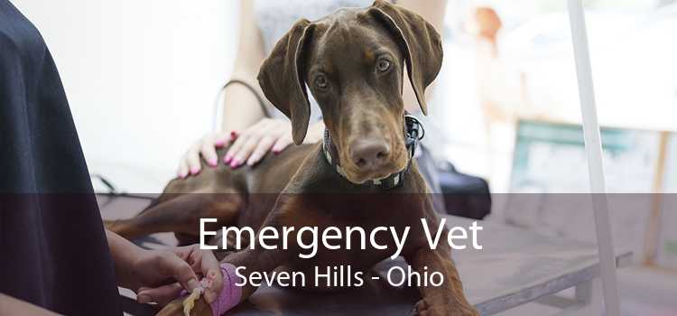 Emergency Vet Seven Hills - Ohio