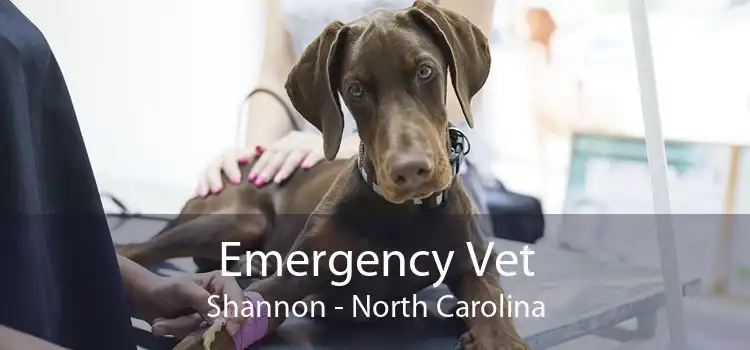 Emergency Vet Shannon - North Carolina
