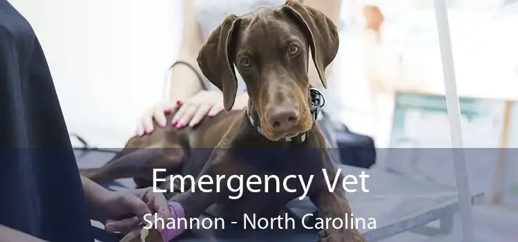 Emergency Vet Shannon - North Carolina