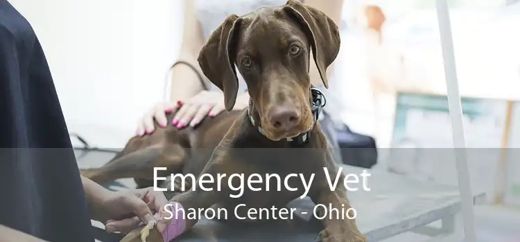 Emergency Vet Sharon Center - Ohio