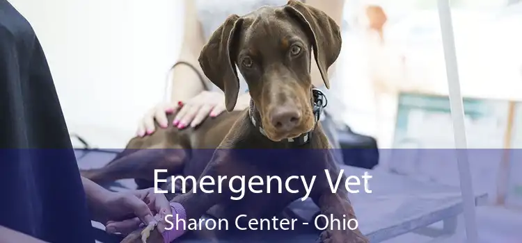 Emergency Vet Sharon Center - Ohio