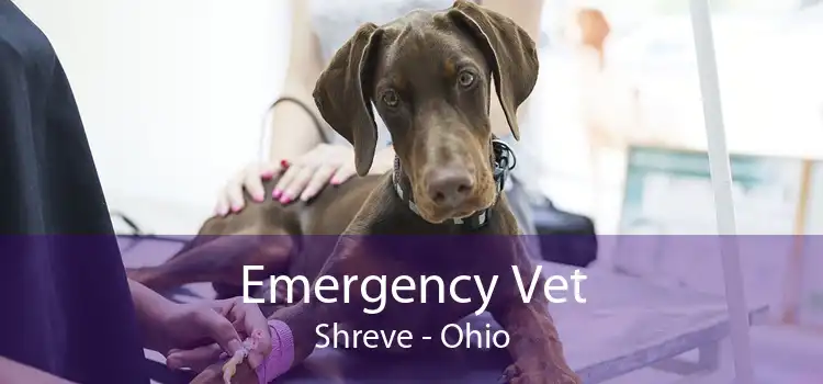 Emergency Vet Shreve - Ohio