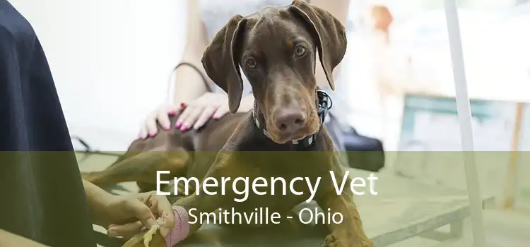 Emergency Vet Smithville - Ohio