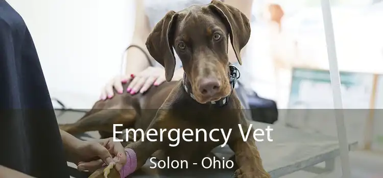 Emergency Vet Solon - Ohio