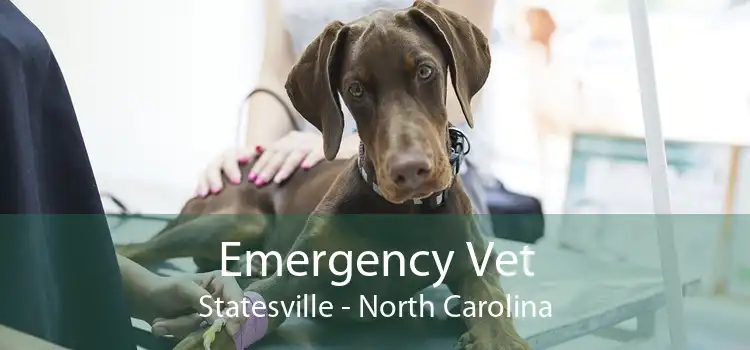 Emergency Vet Statesville - North Carolina