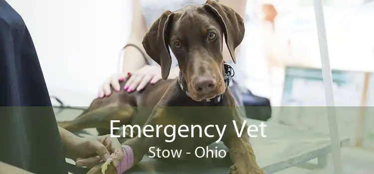 Emergency Vet Stow - Ohio