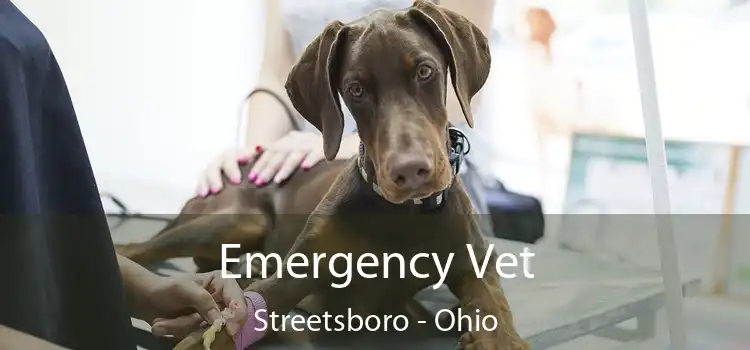 Emergency Vet Streetsboro - Ohio
