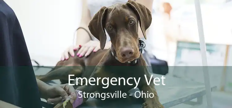 Emergency Vet Strongsville - Ohio