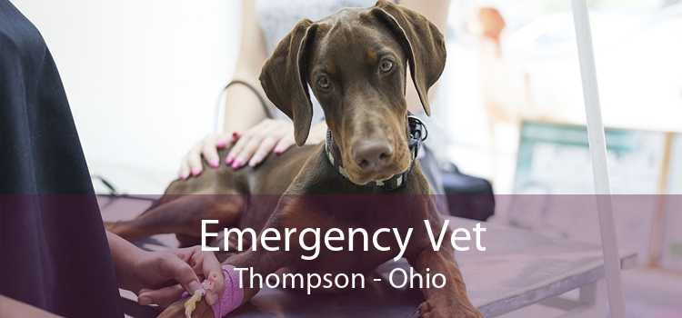 Emergency Vet Thompson - Ohio