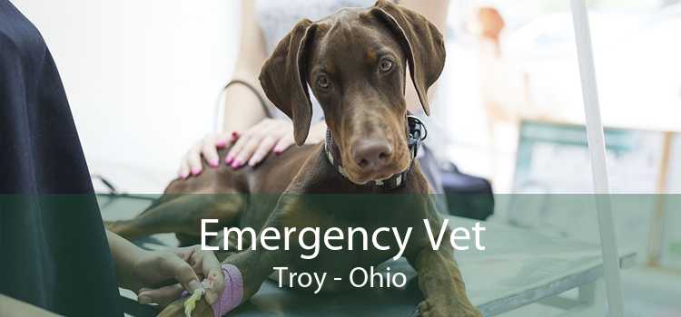 Emergency Vet Troy - Ohio