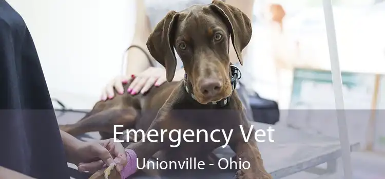 Emergency Vet Unionville - Ohio