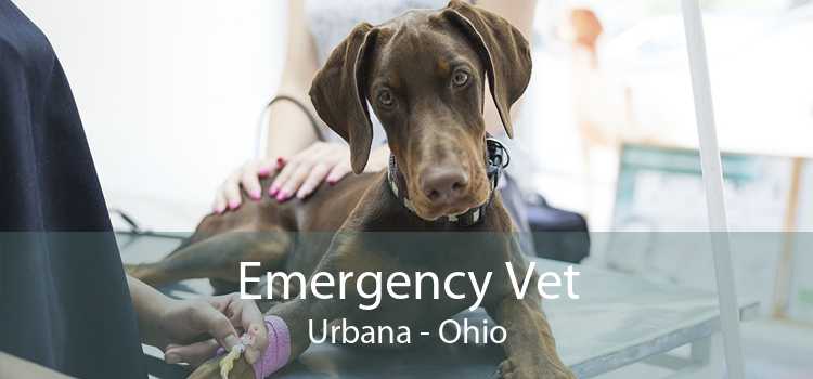 Emergency Vet Urbana - Ohio