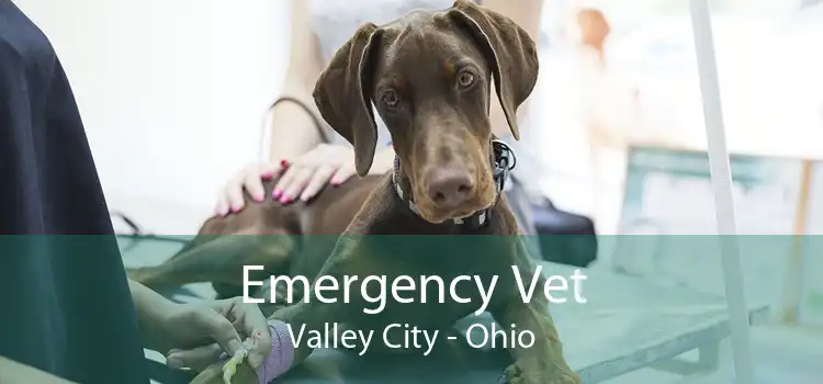 Emergency Vet Valley City - Ohio