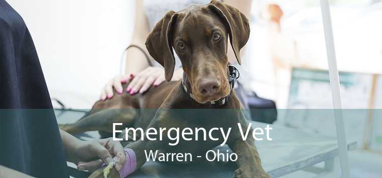 Emergency Vet Warren - Ohio
