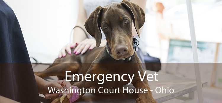 Emergency Vet Washington Court House - Ohio