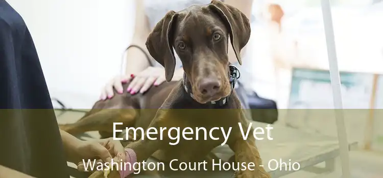 Emergency Vet Washington Court House - Ohio