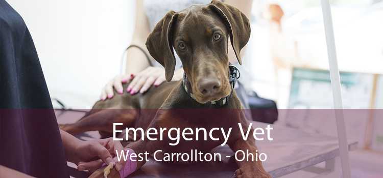 Emergency Vet West Carrollton - Ohio