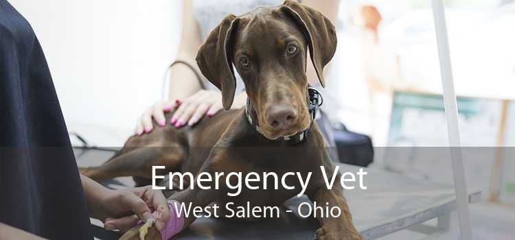 Emergency Vet West Salem - Ohio