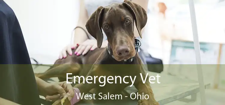 Emergency Vet West Salem - Ohio
