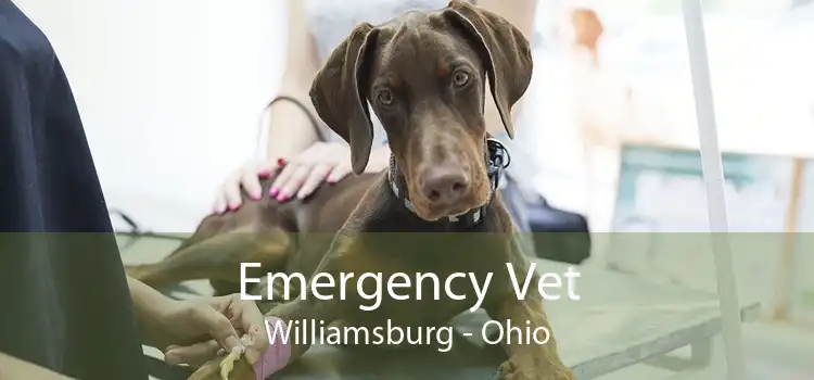 Emergency Vet Williamsburg - Ohio