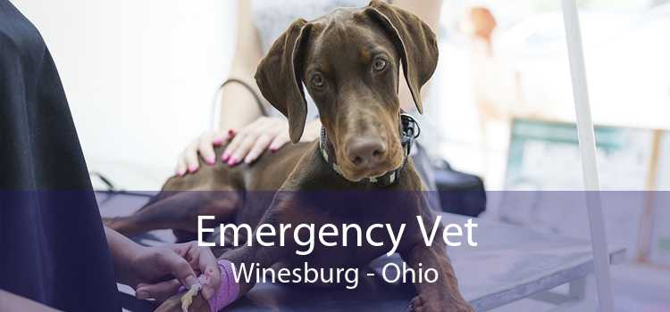 Emergency Vet Winesburg - Ohio