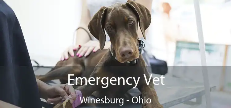 Emergency Vet Winesburg - Ohio