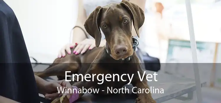 Emergency Vet Winnabow - North Carolina