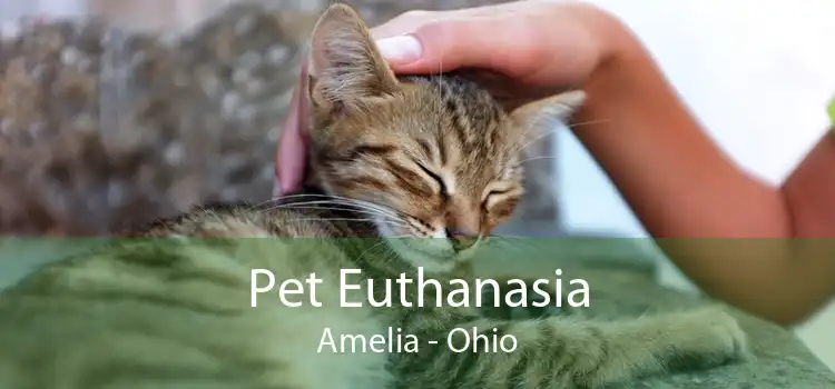 Pet Euthanasia Amelia - Ohio