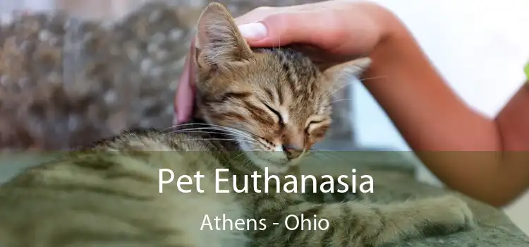 Pet Euthanasia Athens - Ohio